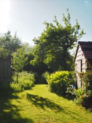 Garden towards orchard and path to the lake