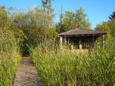 Our cabin on the lakeside