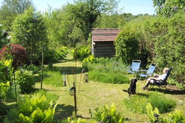 Sunny lawned area