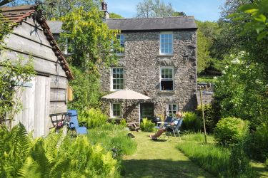 Looking up the garden