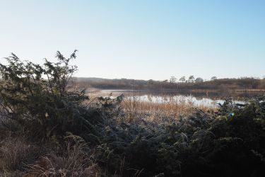 Our lake in winter from the Northern end