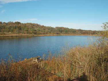 View down the lake