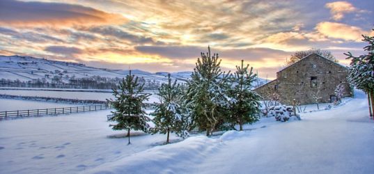 Open all year round and beautiful every season.