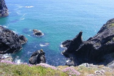 The cliffs above Kynance Cove
