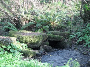 Ancient clapper bridge in our woods