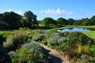 Sensory garden overlooking pond