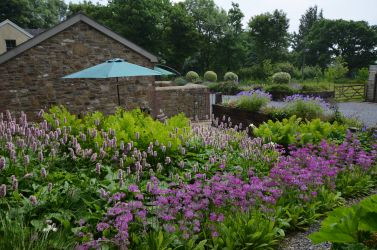 View of patio from rear garden