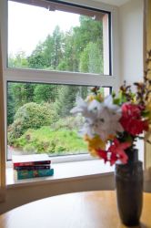 Woodland view from Manesty Dairy's dining table