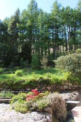 Woodland views and the rockery from Manesty Dairy's front door