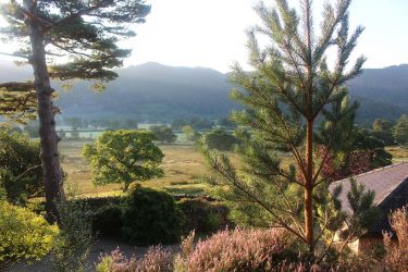 View from our little fell side wood