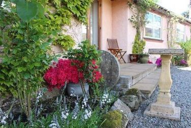 Garden beneath kitchen window