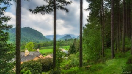 Woodland path behind Manesty