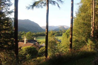 View from woodland accessible from Cocklety How Byre's private fellgarden