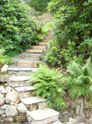 Cocklety How Stable Loft