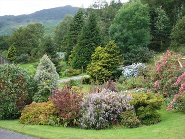 Flower beds by Manesty Band's driveway