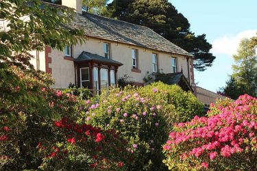 Manesty Band in the spring with rhododendrons