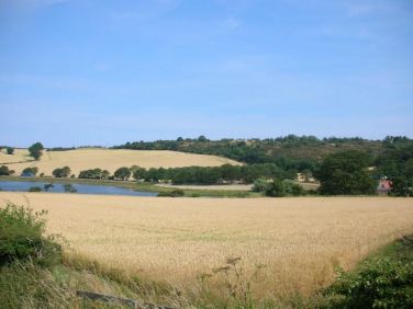 Swan Bay Sea View Apartment