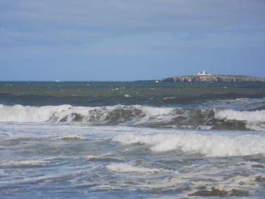 Swan Bay Sea View Apartment