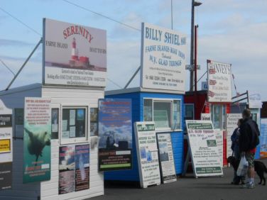 Swan Bay Sea View Apartment