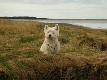 Swan Bay Sea View Apartment