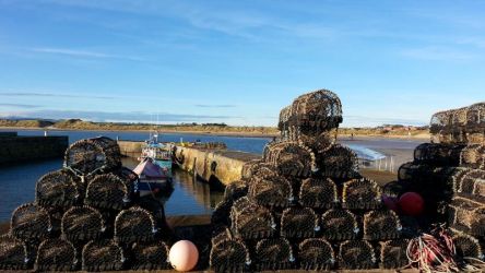 Swan Bay Sea View Apartment