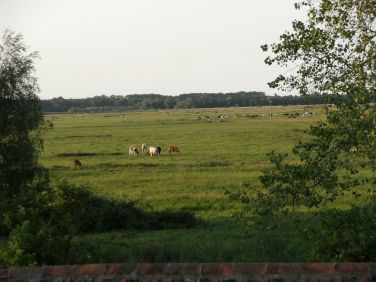 View out over marshes from upstairs