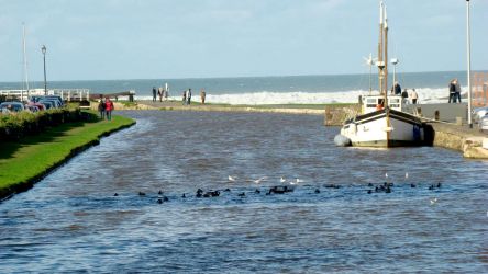 Bude canal