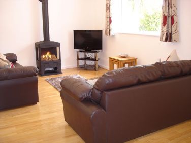 Two comfortable leather settees.