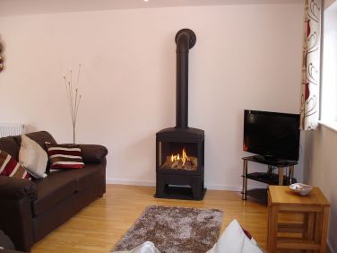 Real flame gas wood burner effect fire. Difficult to tell apart from the real thing. Cleaner & safer