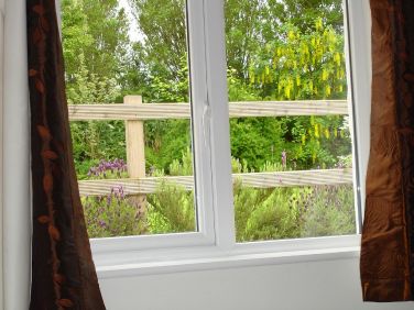 View from back bedroom window