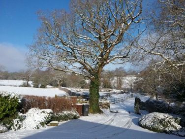 January 2019, a glorious winter morning and the snow covered lane leading into farm yard.