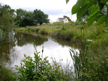 Looking across from the coarse pond to the farm, lovely day in September.