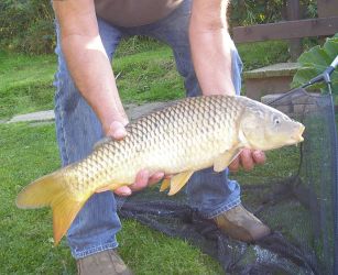 A beautiful carp just one of the many fish caught by our fishing guests in 2018.