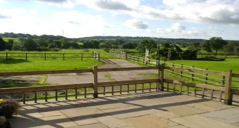 We have extensive views from cottage patio across our fields to the rolling hills beyond..