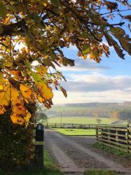 Bilsdale Cottage