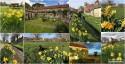 Ryedale Cottage