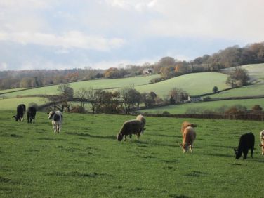 A lovely view from the bedroom window whatever the season.