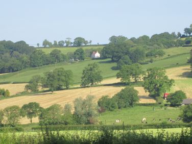 We're located in the  Blackdown Hills