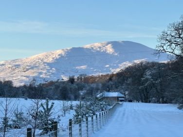 Scenery from the Coach House
