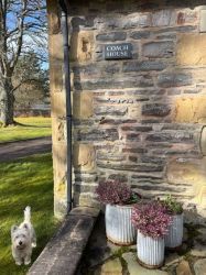The Coach House