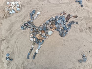 Our recent guest's creative beach art