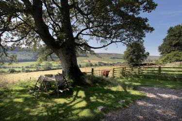 The Old Vicarage is surrounded by flowering meadows and woodland.