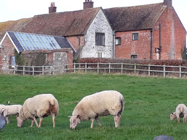 Michelmersh Manor Farm - The Manor Farmstay