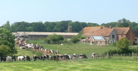 Michelmersh Manor Farm - Bluebells Farmstay