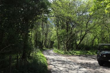 Footpaths start at the garden gate.