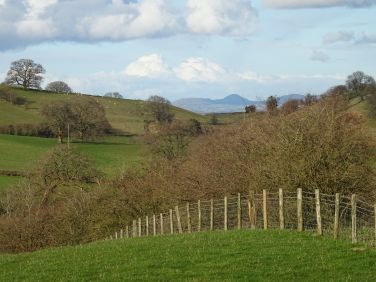 Take a walk on the farm and see the distant Shropshire Hills