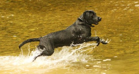 Cherry Tree Farmhouse