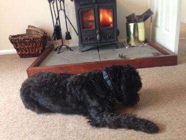 Dogs enjoy relaxing in front of the log burner on cosy winter evenings