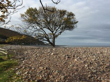 Porlock Beach on a November dog walk