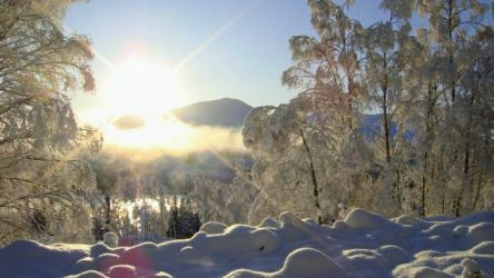 A winter wonderland